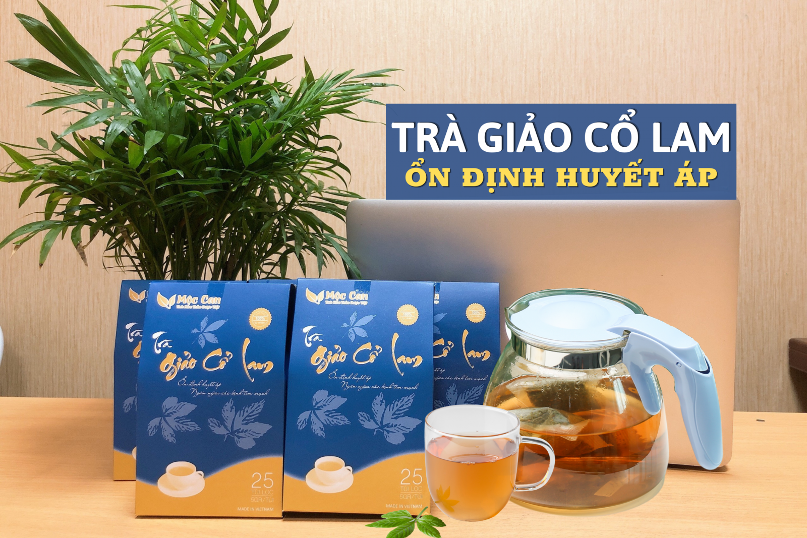 Người bị huyết áp cao chớ bỏ qua các thảo dược dưới đây 3